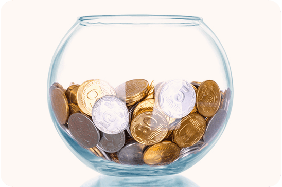 Fixed Income Investments: The Basics