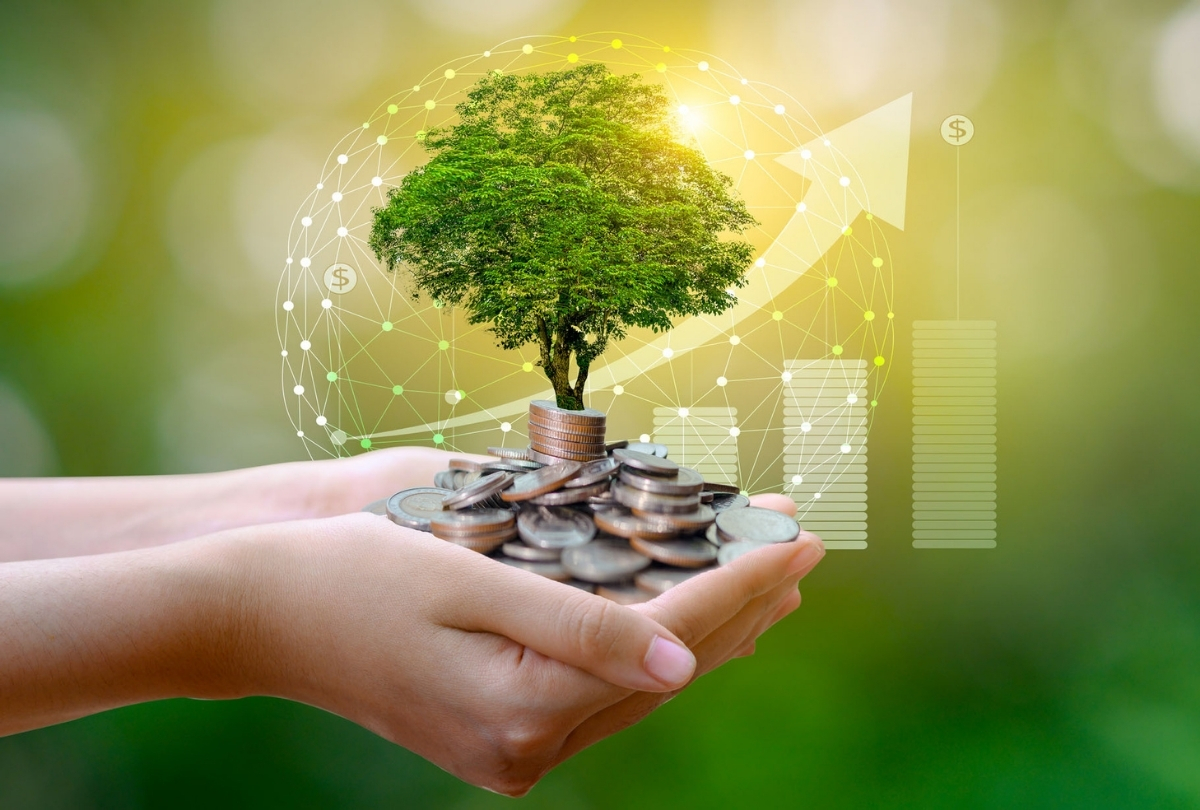 What You Should Know About Socially Responsible Investing
