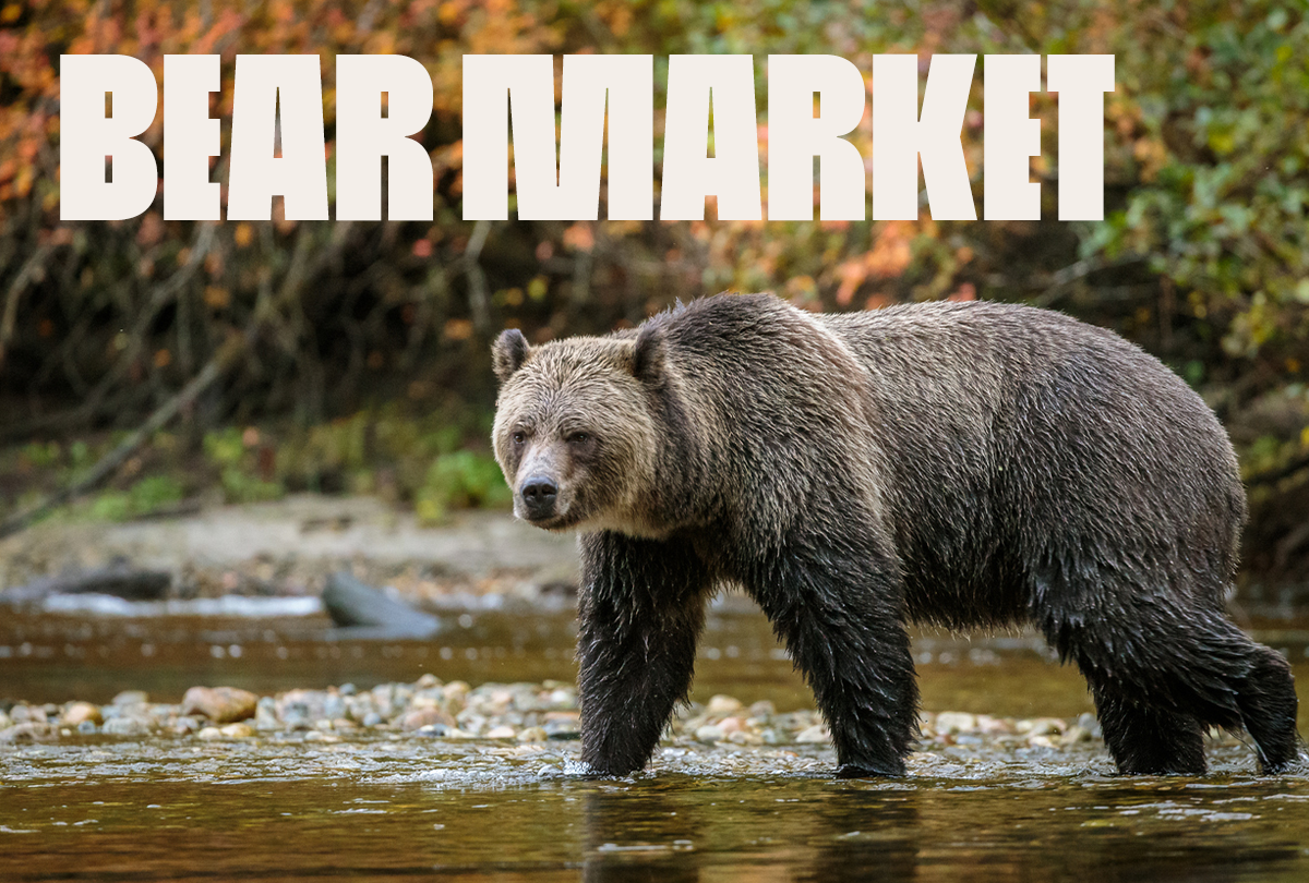 What is a Bear Market?